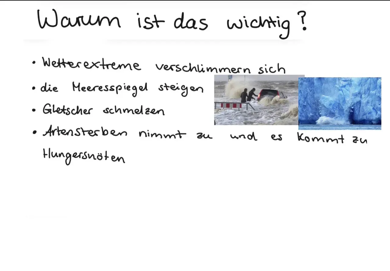 IMG_1321.jpeg