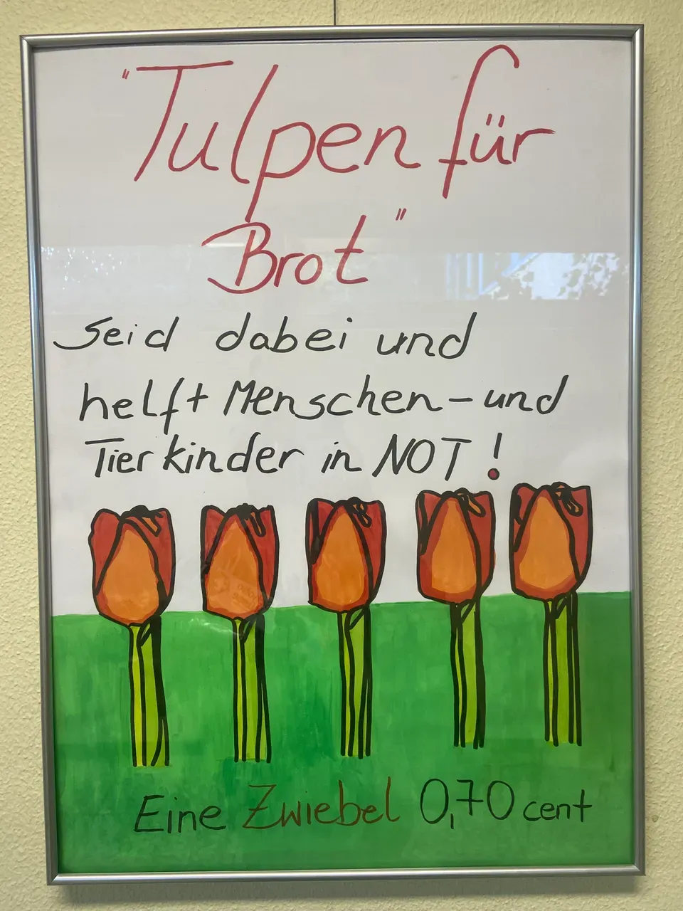 Tulpen.jpg