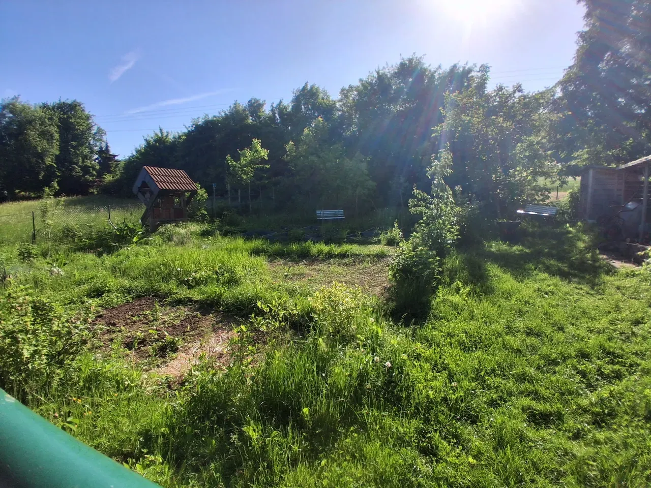 Schulgarten
