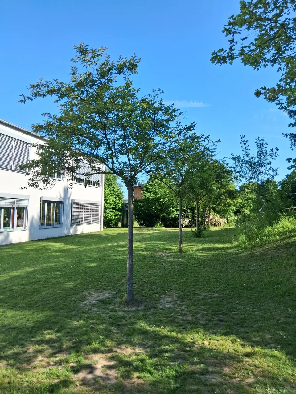 Essbarer Schulhof
