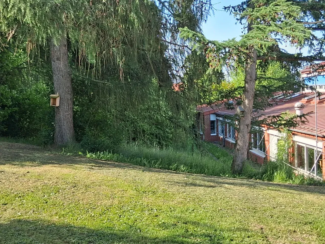 Nistkästen und wachsende Hecke