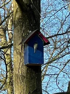 Nistkasten
