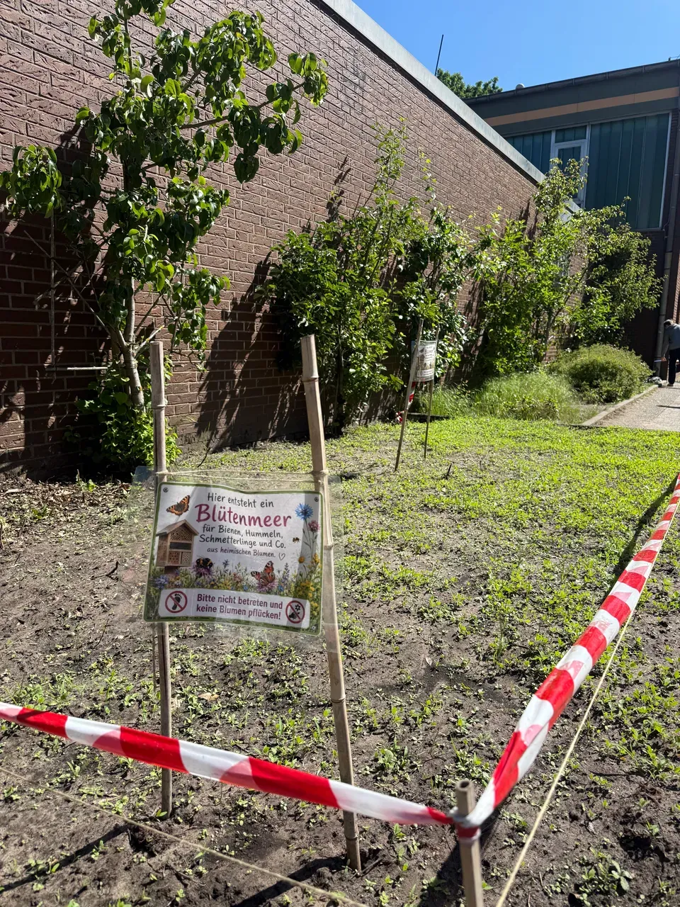 Blühstreifen