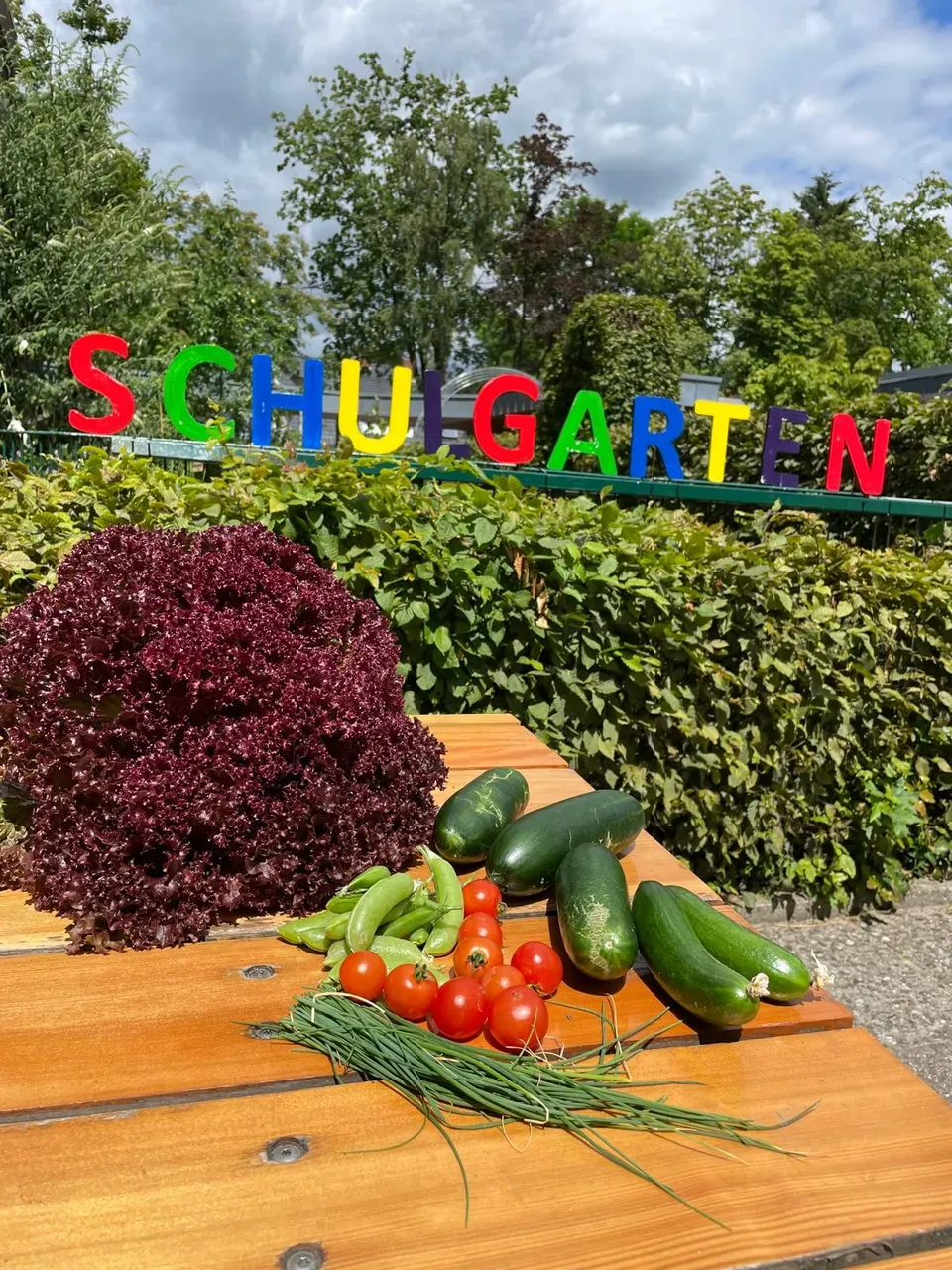 2026_06_Schulgarten.jpg